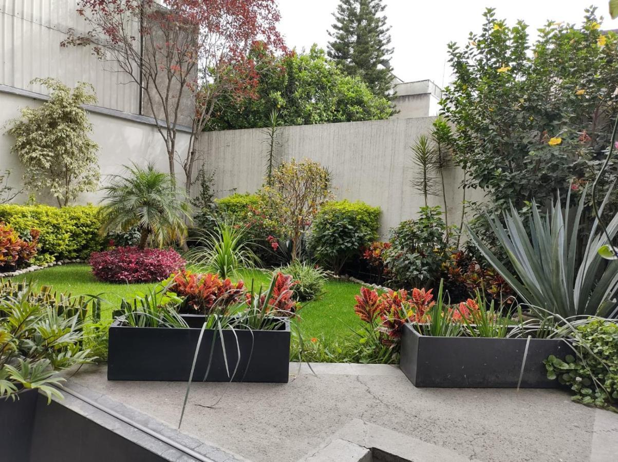 Departamento Entero En El Corazon De La Ciudad Appartement Mexico-stad Buitenkant foto